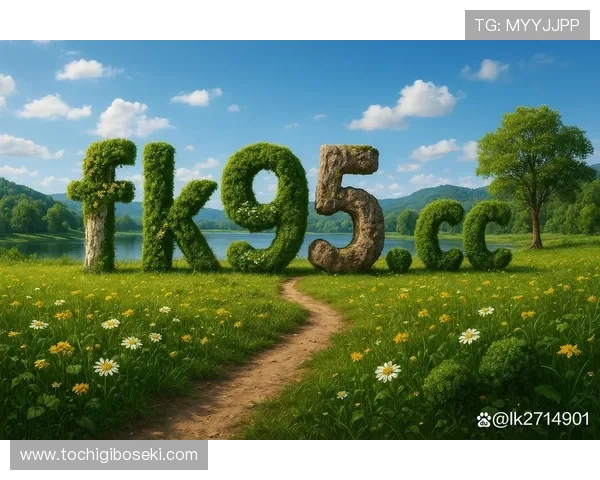 九游体育在线为体育爱好者提供丰富的赛事资讯和实时比分更新满足多样化需求