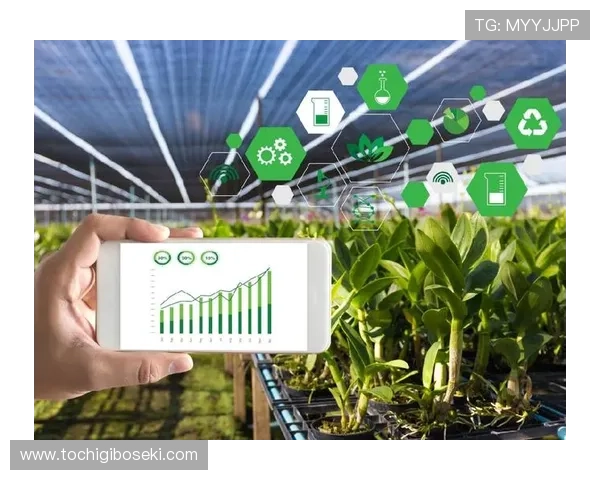 如何顺利访问J9国际站官网入口确保账号安全与稳定登录